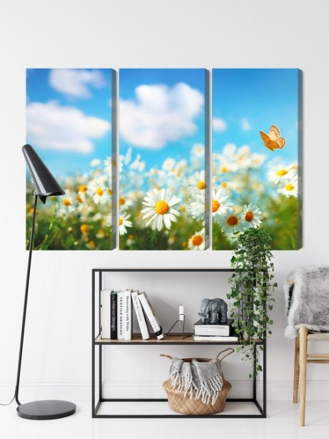 Obraz Wieloczęściowy Pole Stokrotki 3D Obraz Wieloczęściowy Pole Stokrotki 3D