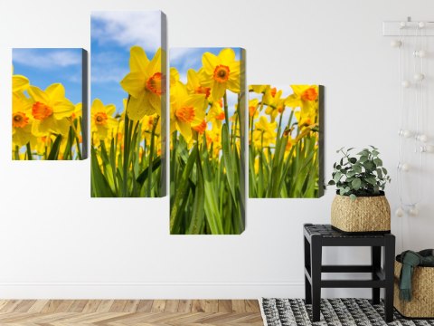 Obraz Wieloczęściowy Pole Żonkila 3D Obraz Wieloczęściowy Pole Żonkila 3D