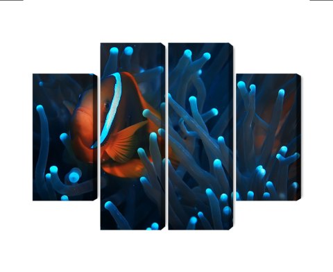 Obraz Wieloczęściowy Błazenek W Anemonie 3D Obraz Wieloczęściowy Błazenek W Anemonie 3D