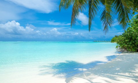 Obraz Wieloczęściowy Plaża Na Malediwach Obraz Wieloczęściowy Plaża Na Malediwach