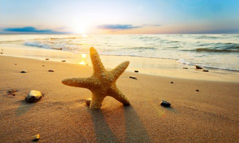 Obraz Wieloczęściowy Rozgwiazda Na Plaży 3D Obraz Wieloczęściowy Rozgwiazda Na Plaży 3D