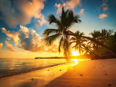 Obraz Wieloczęściowy Tropikalna Plaża W Punta Cana, Dominikana Obraz Wieloczęściowy Tropikalna Plaża W Punta Cana, Dominikana