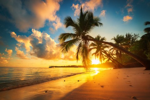 Obraz Wieloczęściowy Tropikalna Plaża W Punta Cana, Dominikana Obraz Wieloczęściowy Tropikalna Plaża W Punta Cana, Dominikana