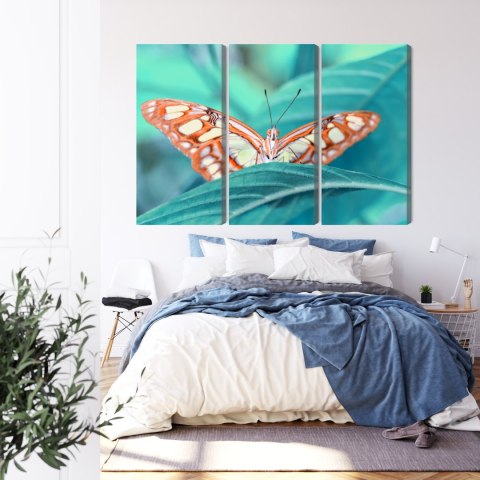 Obraz Wieloczęściowy Motyl Na Liściu W Skali Makro Obraz Wieloczęściowy Motyl Na Liściu W Skali Makro