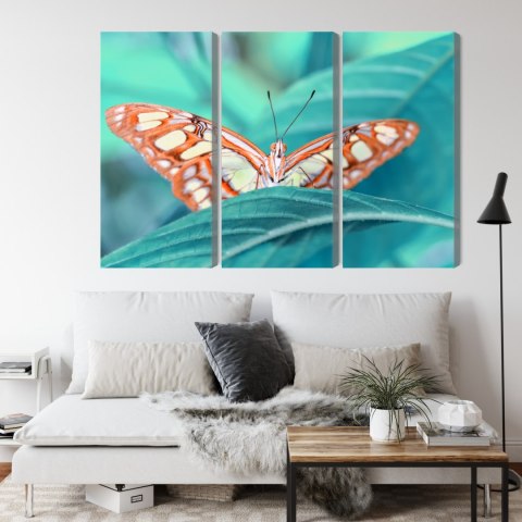 Obraz Wieloczęściowy Motyl Na Liściu W Skali Makro Obraz Wieloczęściowy Motyl Na Liściu W Skali Makro