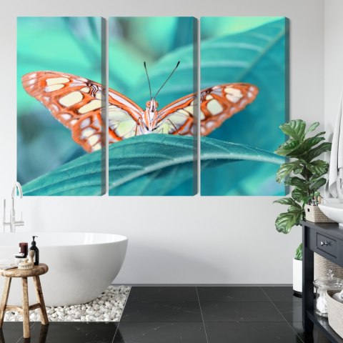Obraz Wieloczęściowy Motyl Na Liściu W Skali Makro Obraz Wieloczęściowy Motyl Na Liściu W Skali Makro