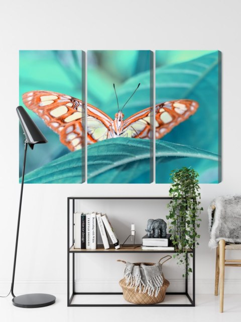 Obraz Wieloczęściowy Motyl Na Liściu W Skali Makro Obraz Wieloczęściowy Motyl Na Liściu W Skali Makro