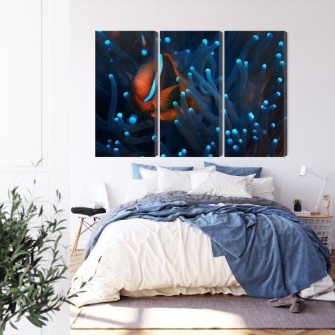 Obraz Wieloczęściowy Błazenek W Anemonie 3D Obraz Wieloczęściowy Błazenek W Anemonie 3D
