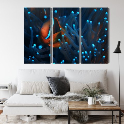 Obraz Wieloczęściowy Błazenek W Anemonie 3D Obraz Wieloczęściowy Błazenek W Anemonie 3D