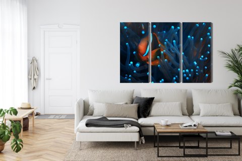 Obraz Wieloczęściowy Błazenek W Anemonie 3D Obraz Wieloczęściowy Błazenek W Anemonie 3D