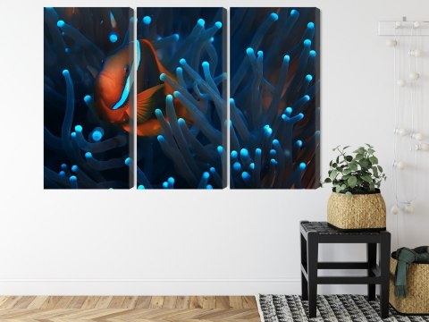 Obraz Wieloczęściowy Błazenek W Anemonie 3D Obraz Wieloczęściowy Błazenek W Anemonie 3D