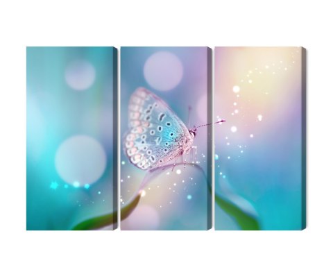 Obraz Wieloczęściowy Delikatny Motyl Na Źdźble Trawy W Skali Makro Obraz Wieloczęściowy Delikatny Motyl Na Źdźble Trawy W Skali Makro