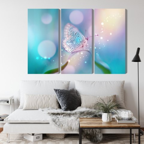 Obraz Wieloczęściowy Delikatny Motyl Na Źdźble Trawy W Skali Makro Obraz Wieloczęściowy Delikatny Motyl Na Źdźble Trawy W Skali Makro