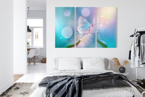 Obraz Wieloczęściowy Delikatny Motyl Na Źdźble Trawy W Skali Makro Obraz Wieloczęściowy Delikatny Motyl Na Źdźble Trawy W Skali Makro