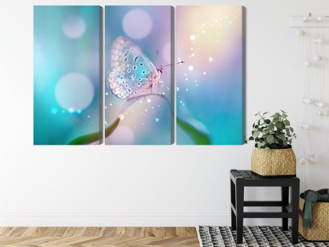 Obraz Wieloczęściowy Delikatny Motyl Na Źdźble Trawy W Skali Makro Obraz Wieloczęściowy Delikatny Motyl Na Źdźble Trawy W Skali Makro