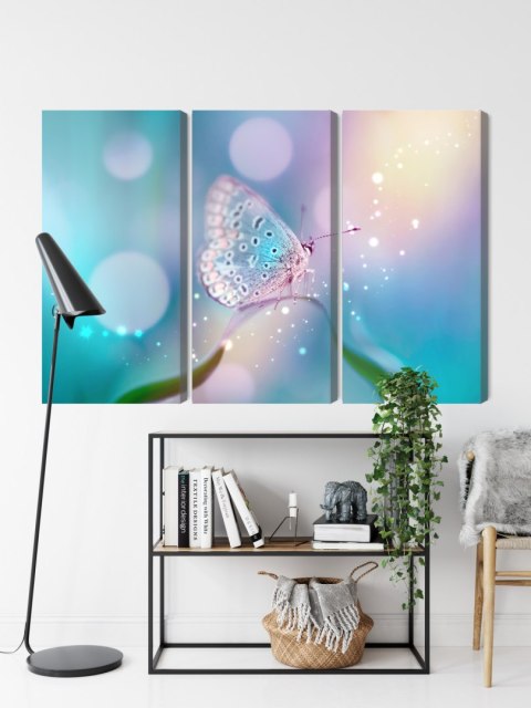 Obraz Wieloczęściowy Delikatny Motyl Na Źdźble Trawy W Skali Makro Obraz Wieloczęściowy Delikatny Motyl Na Źdźble Trawy W Skali Makro