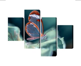 Obraz Wieloczęściowy Motyl Ze Szklanymi Skrzydłami Z Bliska