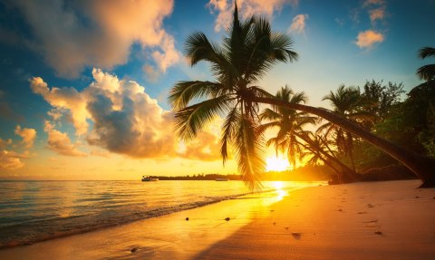 Obraz Wieloczęściowy Tropikalna Plaża W Punta Cana, Dominikana Obraz Wieloczęściowy Tropikalna Plaża W Punta Cana, Dominikana