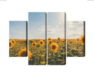 Obraz Wieloczęściowy Pole Słoneczników W Letni Dzień 3D