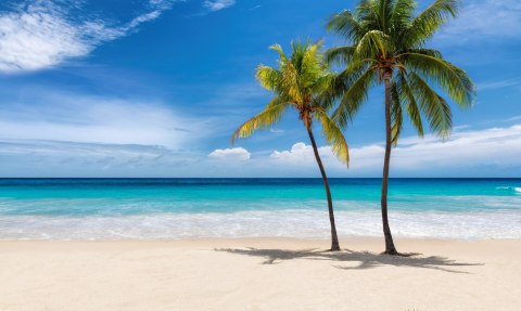 Obraz Wieloczęściowy Karaibska Plaża 3D Obraz Wieloczęściowy Karaibska Plaża 3D