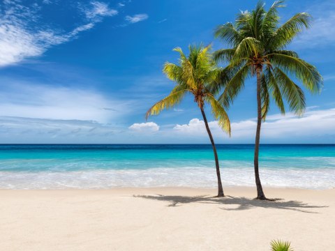 Obraz Wieloczęściowy Karaibska Plaża 3D Obraz Wieloczęściowy Karaibska Plaża 3D