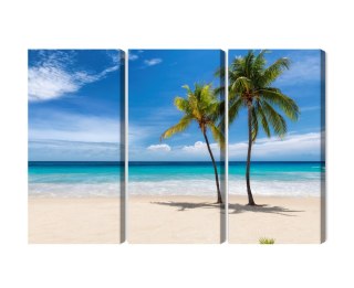 Obraz Wieloczęściowy Karaibska Plaża 3D