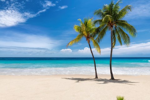 Obraz Wieloczęściowy Karaibska Plaża 3D Obraz Wieloczęściowy Karaibska Plaża 3D