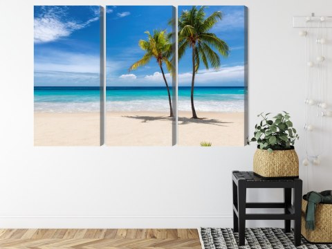 Obraz Wieloczęściowy Karaibska Plaża 3D Obraz Wieloczęściowy Karaibska Plaża 3D