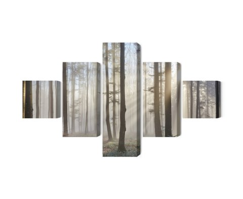 Obraz Wieloczęściowy Wschód Słońca W Lesie Obraz Wieloczęściowy Wschód Słońca W Lesie