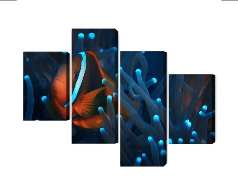 Obraz Wieloczęściowy Błazenek W Anemonie 3D Obraz Wieloczęściowy Błazenek W Anemonie 3D