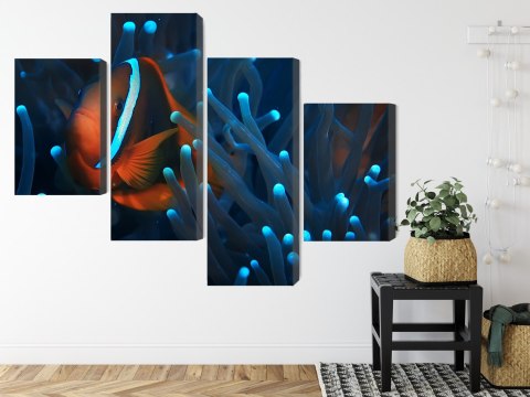 Obraz Wieloczęściowy Błazenek W Anemonie 3D Obraz Wieloczęściowy Błazenek W Anemonie 3D