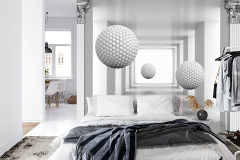 Fototapeta 3D Mural Digital Silver Tunnel With Sphere And Columns .
Modern Rendering Gray Interior Wallpaper