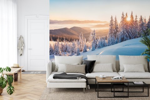 Fototapeta Impressive Winter Morning In Carpathian Mountains With Snow Covered Fir Trees. Colorful Outdoor Scene, Happy New Year