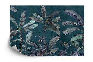 Fototapeta Tropical Trees Wallpaper Design, Banana Trees And Plants, Dark Background, Pattern Design, Mural Art.