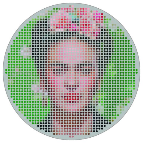 Fototapeta Okrągła Ikona Frida Fototapeta Okrągła Ikona Frida