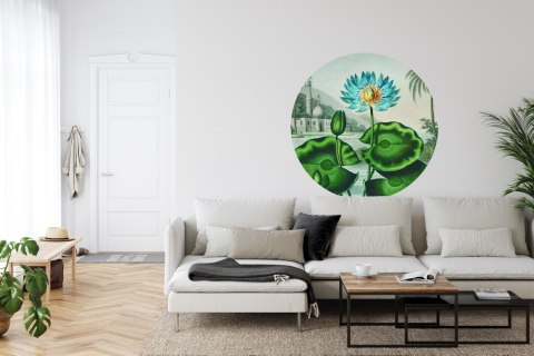 Fototapeta Okrągła Lotos Azul Fototapeta Okrągła Lotos Azul