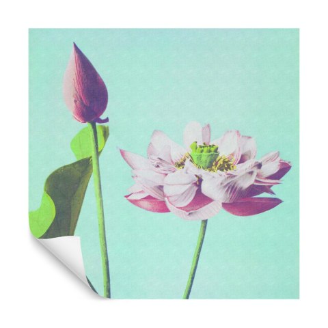 Fototapeta Kwadratowa Kazumasa Lotus Fototapeta Kwadratowa Kazumasa Lotus