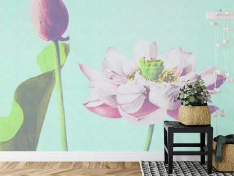 Fototapeta Kwadratowa Kazumasa Lotus Fototapeta Kwadratowa Kazumasa Lotus
