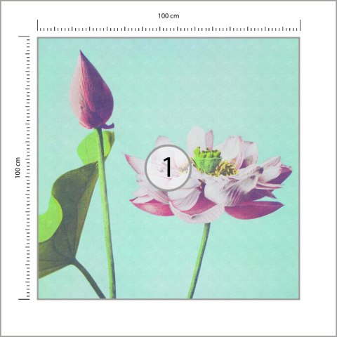 Fototapeta Kwadratowa Kazumasa Lotus Fototapeta Kwadratowa Kazumasa Lotus