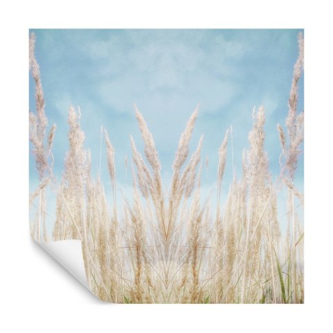 Fototapeta Kwadratowa Lipcowe Dni Fototapeta Kwadratowa Lipcowe Dni