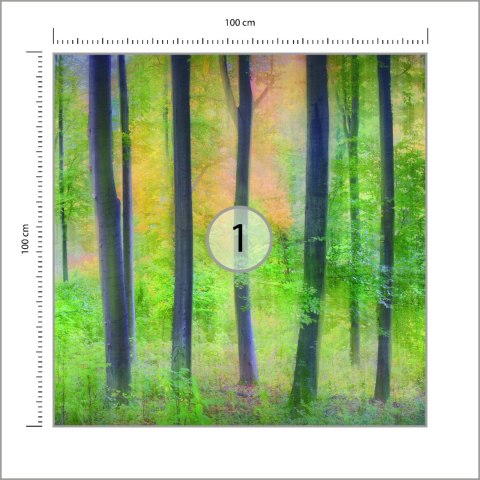 Fototapeta Kwadratowa Marzycielski Autorstwa Jochena Burgera Fototapeta Kwadratowa Marzycielski Autorstwa Jochena Burgera