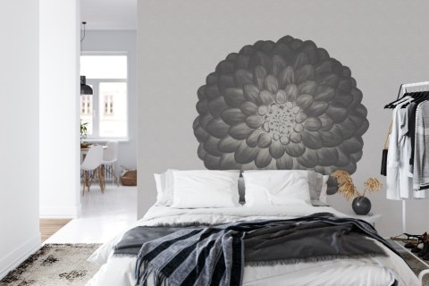 Fototapeta Kwadratowa Symetria W Negatywie Fototapeta Kwadratowa Symetria W Negatywie