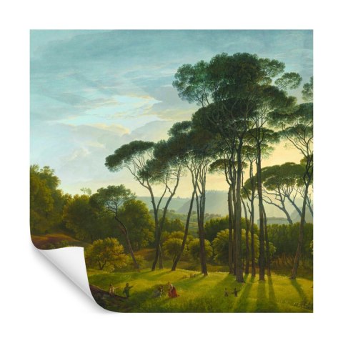 Fototapeta-Kwadratowa-Wloski-Krajobraz-Z-Parasolowymi-Sosnami_[197935]_1200