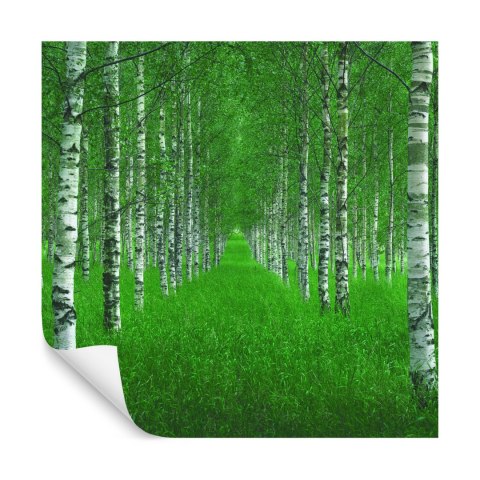Fototapeta Kwadratowa Tunel Autorstwa Christiana Lindstena Fototapeta Kwadratowa Tunel Autorstwa Christiana Lindstena