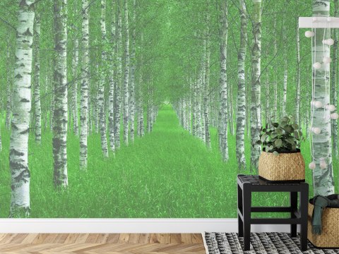 Fototapeta Kwadratowa Tunel Autorstwa Christiana Lindstena Fototapeta Kwadratowa Tunel Autorstwa Christiana Lindstena
