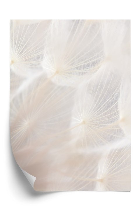 Plakat Abstrakcyjny Beżowy Dmuchawiec