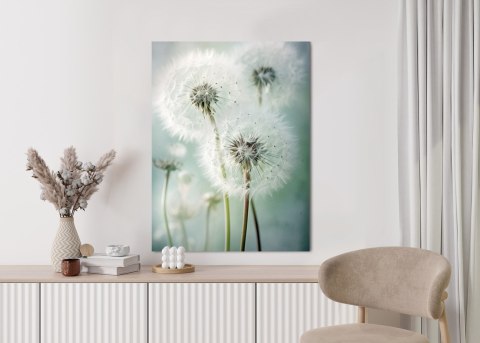 Plakat Delikatne Polne Kwiaty Mniszek Lekarski