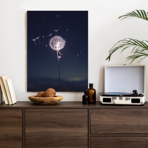 Plakat Delikatny Mniszek Lekarski Na Tle Nocnego Nieba