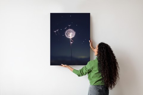 Plakat Delikatny Mniszek Lekarski Na Tle Nocnego Nieba