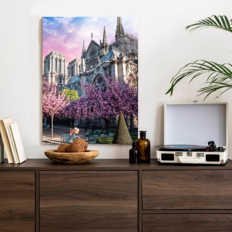 Plakat Katedra Notre Dame De Paris O Wschodzie Słońca I Kwitnące Wiśnie